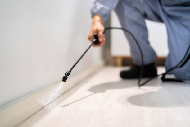 Professional exterminator conducting IPM assessment in Mason