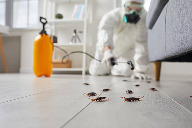 Commercial Kitchen Cockroach Control in Mason